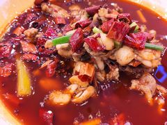 馋嘴牛蛙仔-簋街仔仔小龙虾(总店)