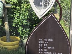 -青藏高原野生动物园
