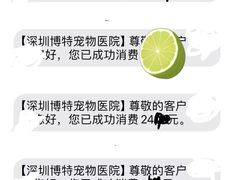 -博特宠物医院24h犬猫全科.骨科·异宠