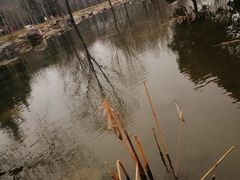 -郑州植物园