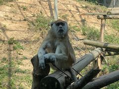 -宁波野生动物园