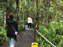 -热带雨林自然公园