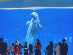 -泉城欧乐堡海洋极地世界