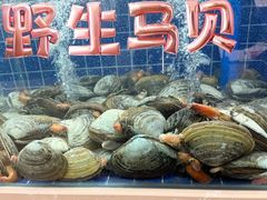 -欧记·龙城港(欣都龙城店)