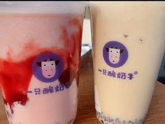 -一只酸奶牛(八一路店)