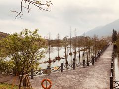 -田野绿世界