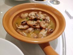 鸡汁川豆芽-骏莱海鲜鱼港(五角场店)