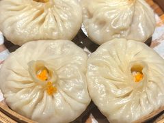 -点都德·毕德寮