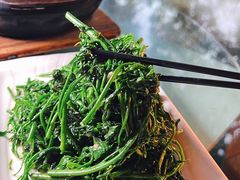 -兴隆槟榔园休闲农庄