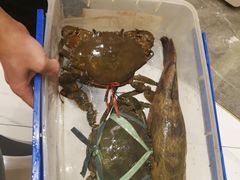 -望乡楼上海菜(日月光店)