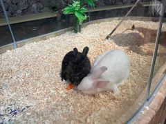 -正佳雨林生态植物园