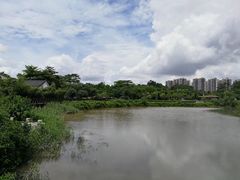 -大亚湾红树林城市湿地公园