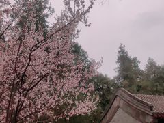 -颐和园