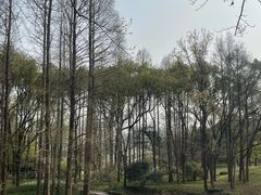 -杭州植物园