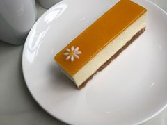 -Madeleine玛德琳(永平里店)