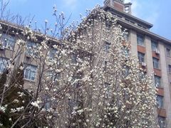 -东北大学(南湖校区)