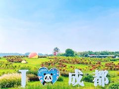 -空港花田景区