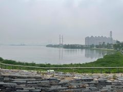 -金银湖国家城市湿地公园