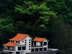 -深圳仙湖植物园