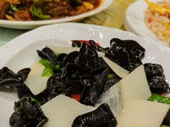 -喀什骑仕大观园