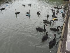-无锡动物园·太湖欢乐园