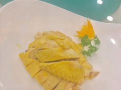 宝和白斩鸡-王宝和酒家(黄浦店)