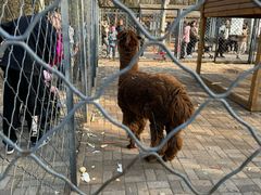 -长白岛森林公园