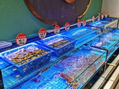 -鸽子侯·家宴·平价海鲜(市图书馆店)