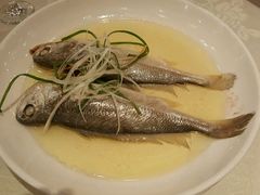 -大鹏饭店·金陵老味道(奥体中心店)