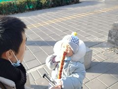 -和禄德冰糖葫芦