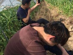 -小六农家乐(崇明西沙湿地店)