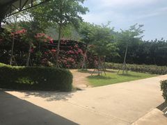 -亚龙湾国际玫瑰谷