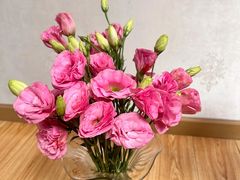 -循礼门鲜花花市(武汉循礼门店)