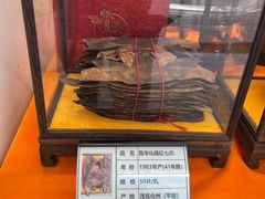 -南宁国际会展中心