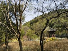 -香山公园