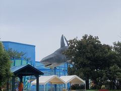 -海合安武汉极地海洋公园