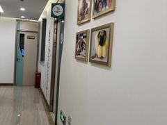 -维乐口腔(格林门诊长宁店)