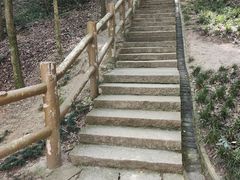 -上海佘山国家森林公园天马山园