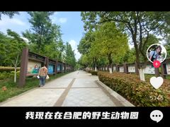 -合肥野生动物园