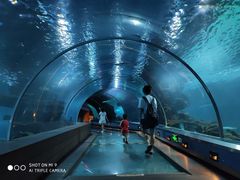 -石家庄海洋公园