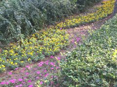 -长辛店二七公园