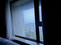 -九华山聚龙大酒店