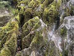 -梭布垭石林景区