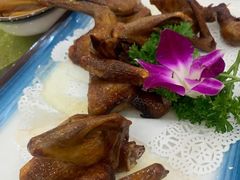 -鸽云轩(望牛墩店)