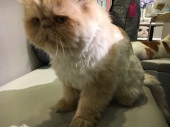 -小时光咖啡馆(开森度假森林店)