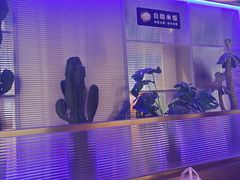 -徐记小怪兽肉蟹煲(中央大街店)