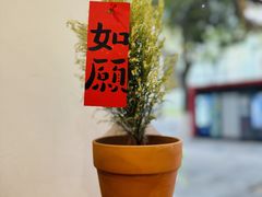 -LilBee Coffee