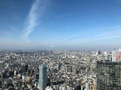 -东京都厅舍