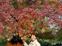 -洛阳市隋唐城遗址植物园