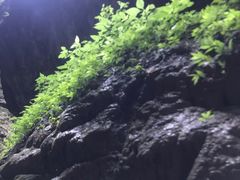 -龙水峡地缝景区